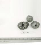 Click for 1 image(s) for this accession. FRUIT